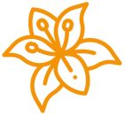 logo afbeelding de lelie rouwbegeleiding